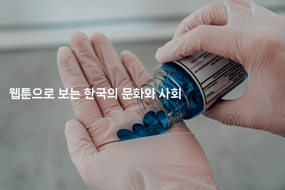 웹툰으로 보는 한국의 문화와 사회
2-애니콘