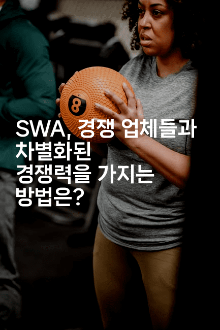 SWA, 경쟁 업체들과 차별화된 경쟁력을 가지는 방법은?2-애니콘