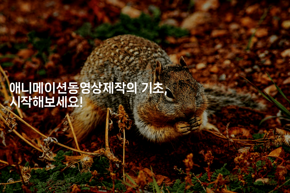 애니메이션동영상제작의 기초, 시작해보세요!2-애니콘