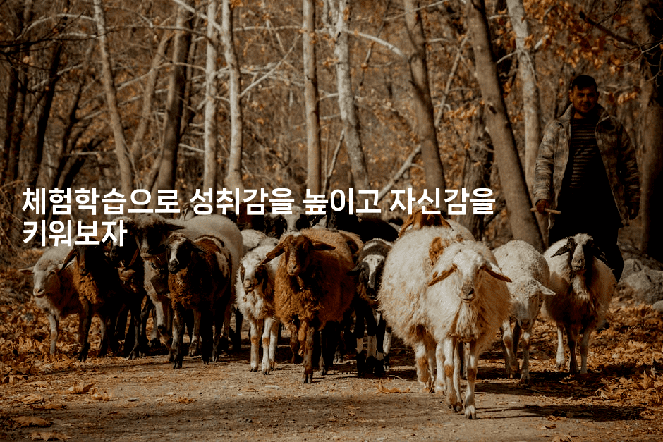 체험학습으로 성취감을 높이고 자신감을 키워보자2-애니콘