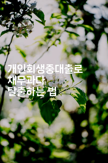 개인회생중대출로 채무과다 탈출하는 법-애니콘