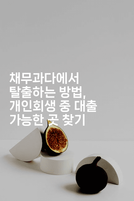 채무과다에서 탈출하는 방법, 개인회생 중 대출 가능한 곳 찾기-애니콘