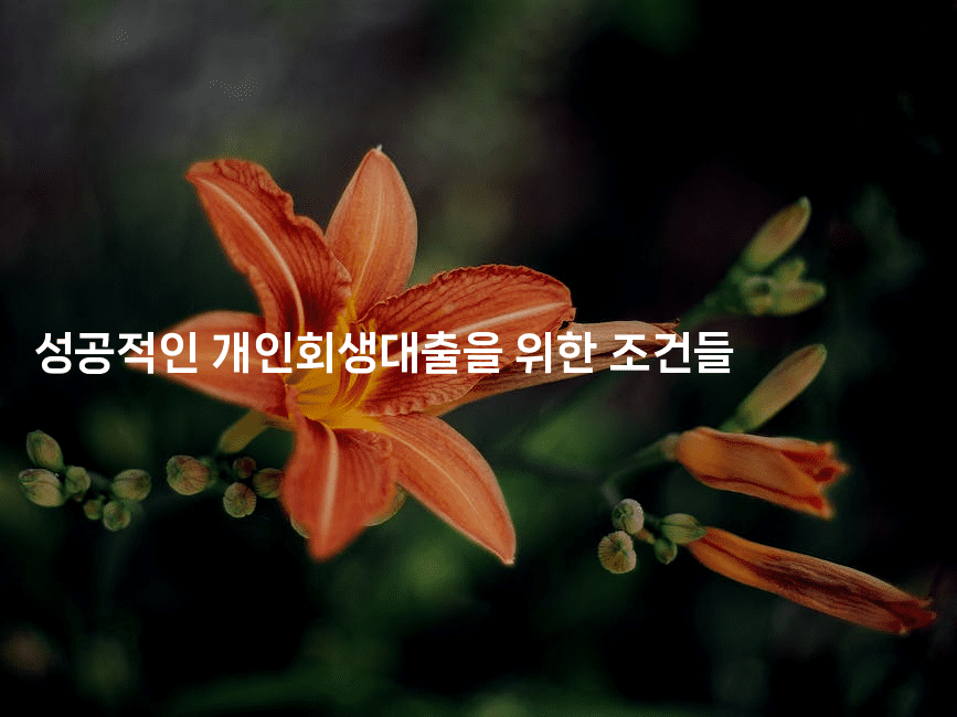 성공적인 개인회생대출을 위한 조건들-애니콘