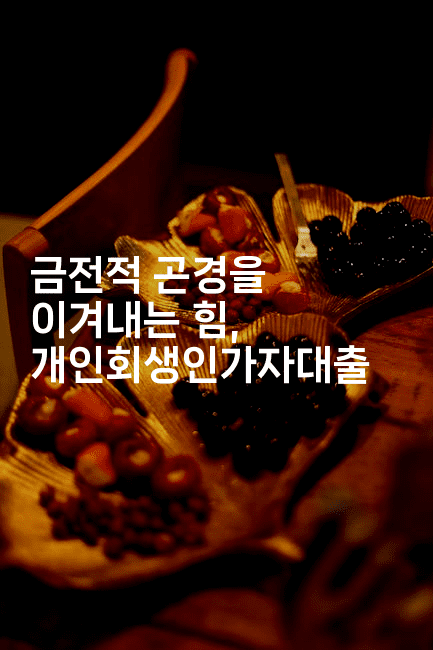 금전적 곤경을 이겨내는 힘, 개인회생인가자대출