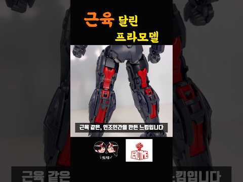 근육 달린 프라모델??