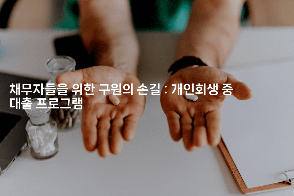 채무자들을 위한 구원의 손길 : 개인회생 중 대출 프로그램-애니콘