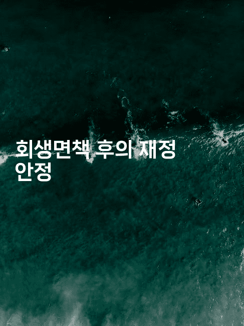 회생면책 후의 재정 안정-애니콘